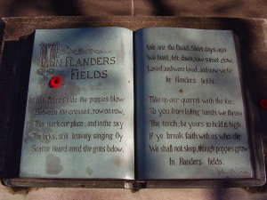 F&O Flanders Fields