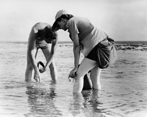 Rachel_Carson_Conducts_Marine_Biology_Research_with_Bob_Hines