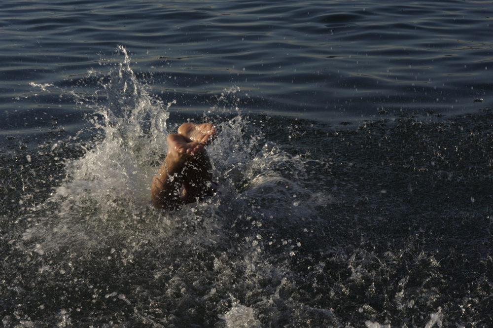 A participant in the Polar Bear swim in Vancouver dives into the New Year. F&O file photo © Bead Shop Media 2014