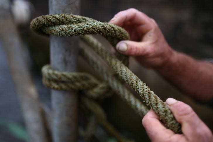 Johnny Cloherty from Mweenish Island who catches lobsters and harvests seaweed, ties his currach boat to a pier in Carna in Galway, Ireland, July 15, 2016. REUTERS/Clodagh Kilcoyne